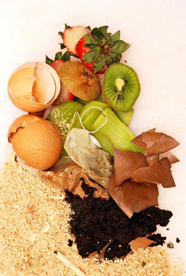 Organic Waste for Compost on White Stock Photo - Image of textures, compost_ 20161310